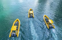 75-minute Dubai boat tour of Atlantis, Dubai Marina, Palm Jumeirah