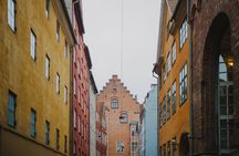 Highlights and hygge full-day tour of Copenhagen