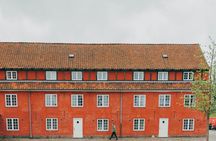 Highlights and hygge full-day tour of Copenhagen