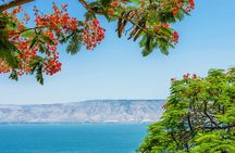 Full-day tour of the Sea of Galilee, Cana, Magdala and Mount of Beatitudes from Tel Aviv