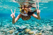 Palm Pleasure catamaran snorkel adventure