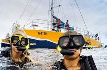 Palm Pleasure catamaran snorkel adventure