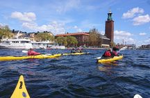 Stockholm winter city kayak tour