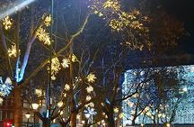 Magic of Christmas lights tour