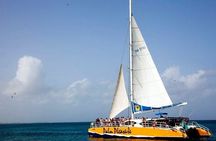 Palm Pleasure catamaran afternoon snorkeling tour