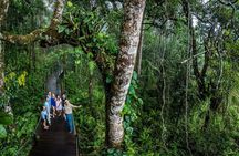 Kuranda Scenic Rail and Skyrail