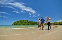 Full-day Cape Tribulation, Daintree and Mossman Gorge with lunch