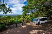 Full-day Cape Tribulation, Daintree and Mossman Gorge with lunch