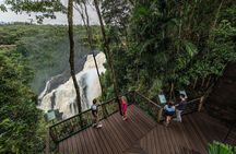 Kuranda Skyrail and Scenic Rail experience