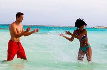 Best of Aruba full-day tour by bus