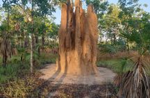 Dry season Litchfield wanderer - one day Litchfield regional tour