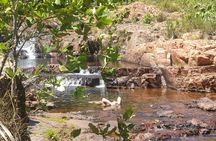 Dry season Litchfield wanderer - one day Litchfield regional tour