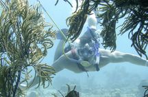 De Palm Island Snuba experience