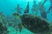 De Palm Island Snuba experience