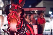 History and haunts carriage tour in New Orleans