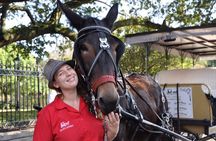 New Orleans French Quarter and Marigny carriage tour