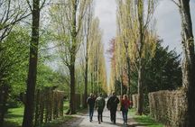 Private Nørrebro neighborhood explorer tour