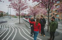 Private Nørrebro neighborhood explorer tour