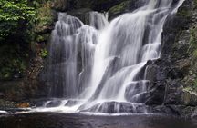 Killarney National Park guided tour by bike