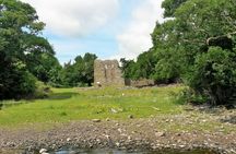 Innisfallen Island kayak tour with guide