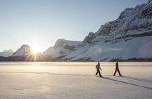 Private Tromsø snowshoeing tour with a TeslaX car ride