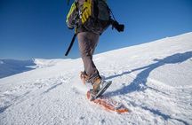 Private Tromsø snowshoeing tour with a TeslaX car ride
