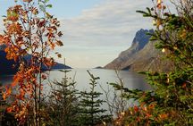 Private fjord tour from Tromsø in a TeslaX car