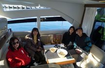 Private fishing experience in Tromsø in a luxury yacht