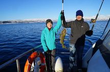 Private fishing experience in Tromsø in a luxury yacht