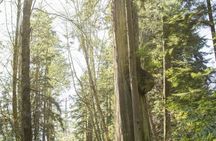 Vancouver Grand cycling tour