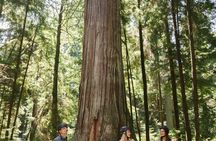 Vancouver epic electric cycling tour