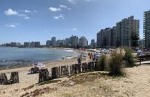 Punta del Este full-day guided tour from Montevideo