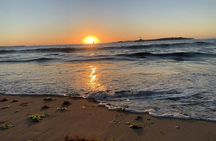 Punta del Este full-day guided tour from Montevideo