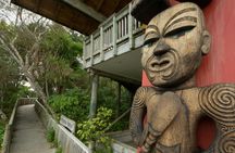 Wilderness Experience half-day nature tour
