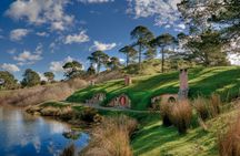 Rotorua to Auckland via Hobbiton movie set with lunch