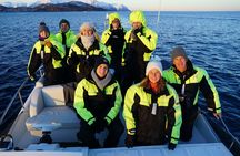Private luxury whale watching safari from Tromsø