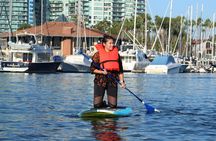 Marina Del Rey kayak and paddleboard tour with sea lions