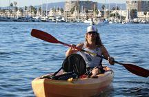 Marina Del Rey kayak and paddleboard tour with sea lions