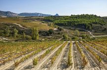 Winery visit in La Rioja with tasting and lunch from Vitoria