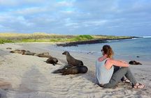 Lobos Island guided tour from San Cristobal Island