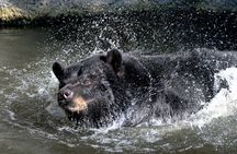 Zoo Tampa at Lowry Park