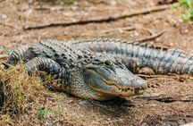 Zoo Tampa at Lowry Park