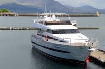 Northern lights luxury yacht cruise in Reykjavik