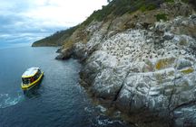 2.5-hour Iron Pot lighthouse cruise