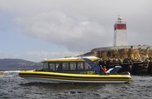 2.5-hour Iron Pot lighthouse cruise