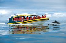 Tasman Island Cruises from Hobart with Port Arthur visit