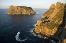 Tasman Island Cruises from Hobart with Port Arthur visit