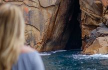 Wineglass Bay cruises Including Sky Lounge adult access