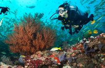 Diving package from RIU Atoll and RIU Palace Maldivas