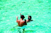 Snorkeling tour from RIU Atoll and RIU Palace Maldivas